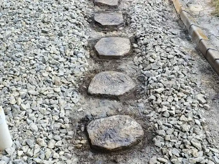 Custom concrete stepping stone path through a landscaped garden bed