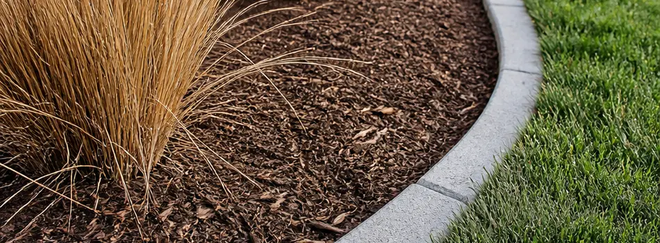 Curved concrete border separating a mulched bed of ornamental grass from the lawn