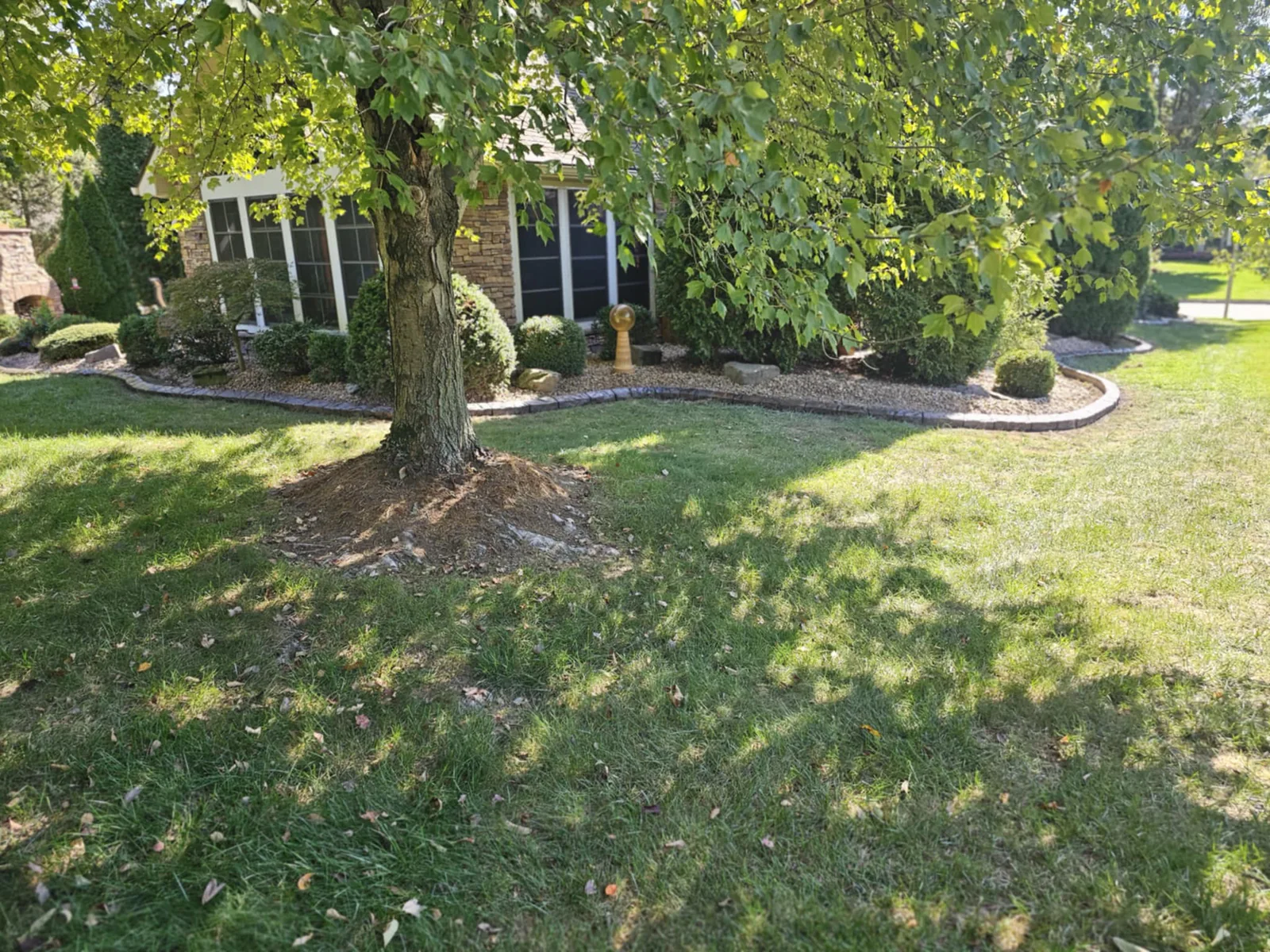 Curved concrete edging separating a landscaped bed from the lawn
